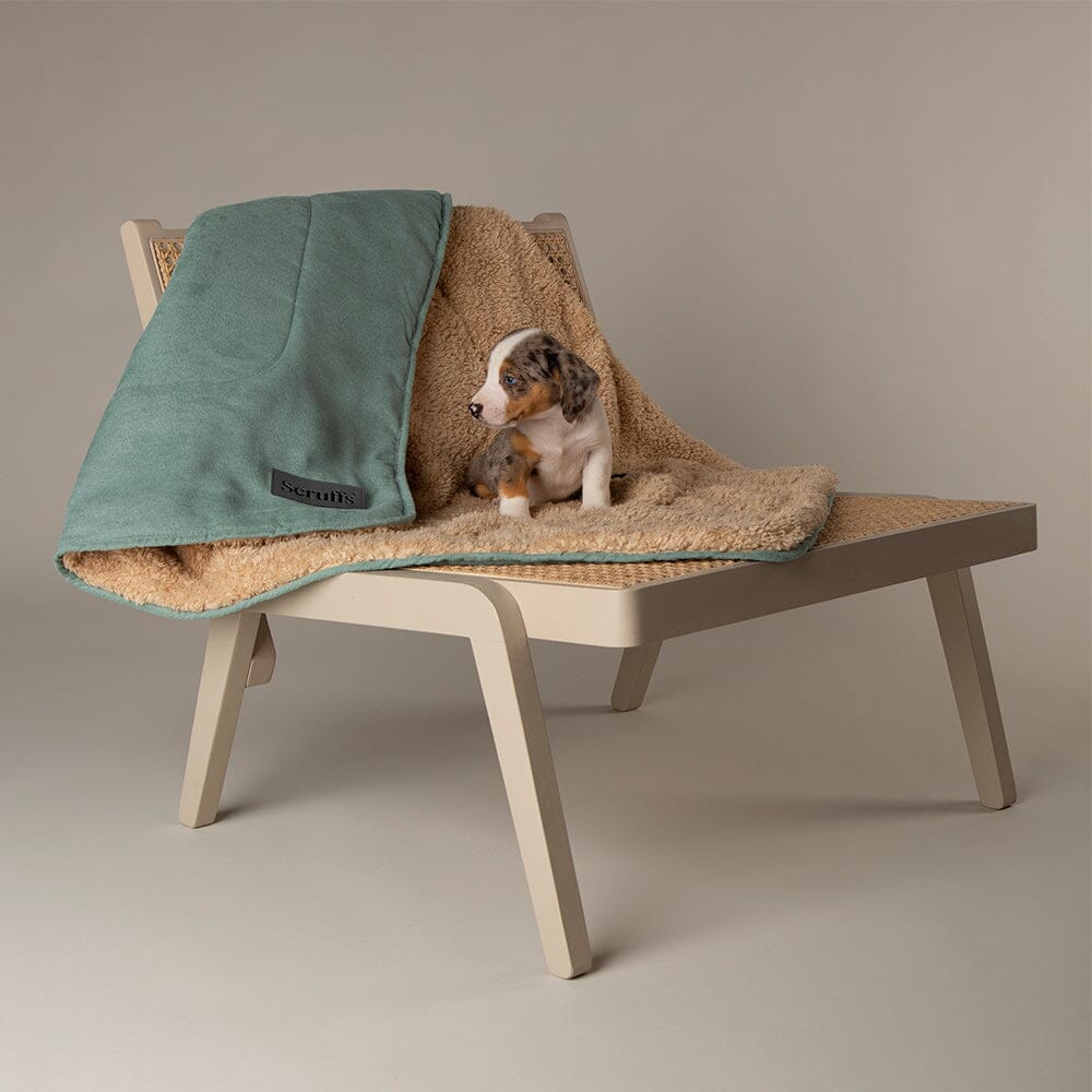 Scruffs Snuggle Blanket - Sage Green