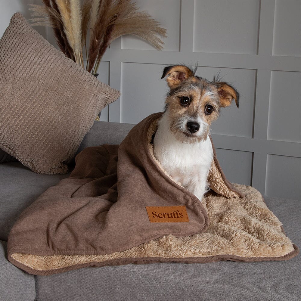 Scruffs Snuggle Blanket - Caramel Brown