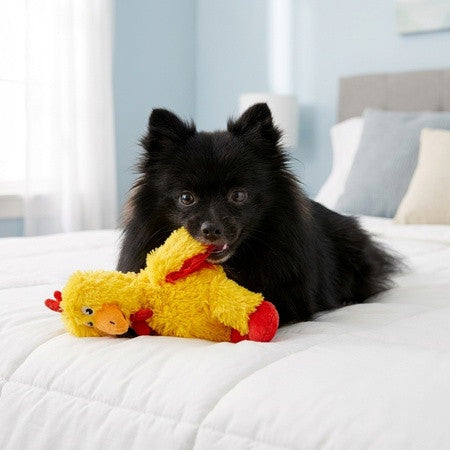 KONG Knots Chicken dog toy