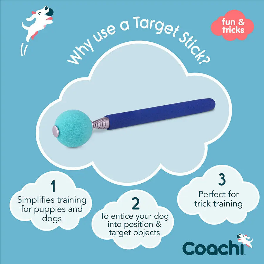 Coachi Target Stick Navy And Light Blue Coachi