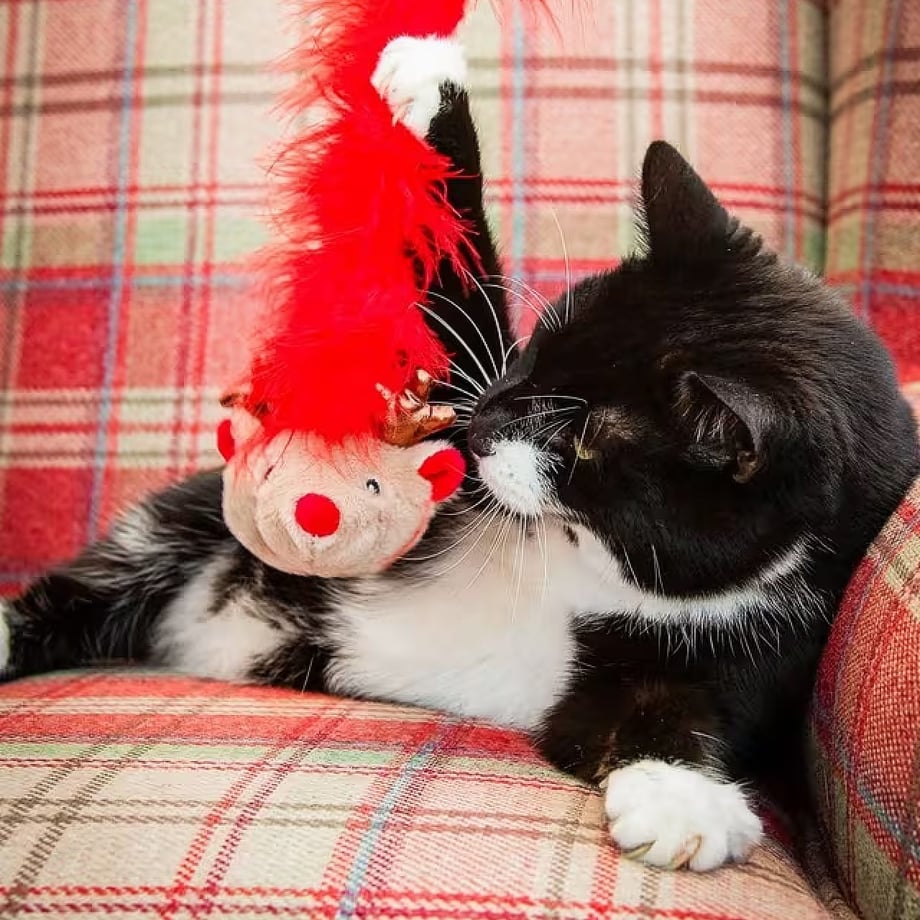 Rosewood Roxy Reindeer Festive Cat Teaser Wand Rosewood