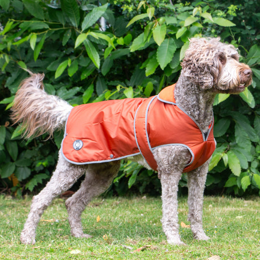 Stormguard Terracotta Dog Coat M