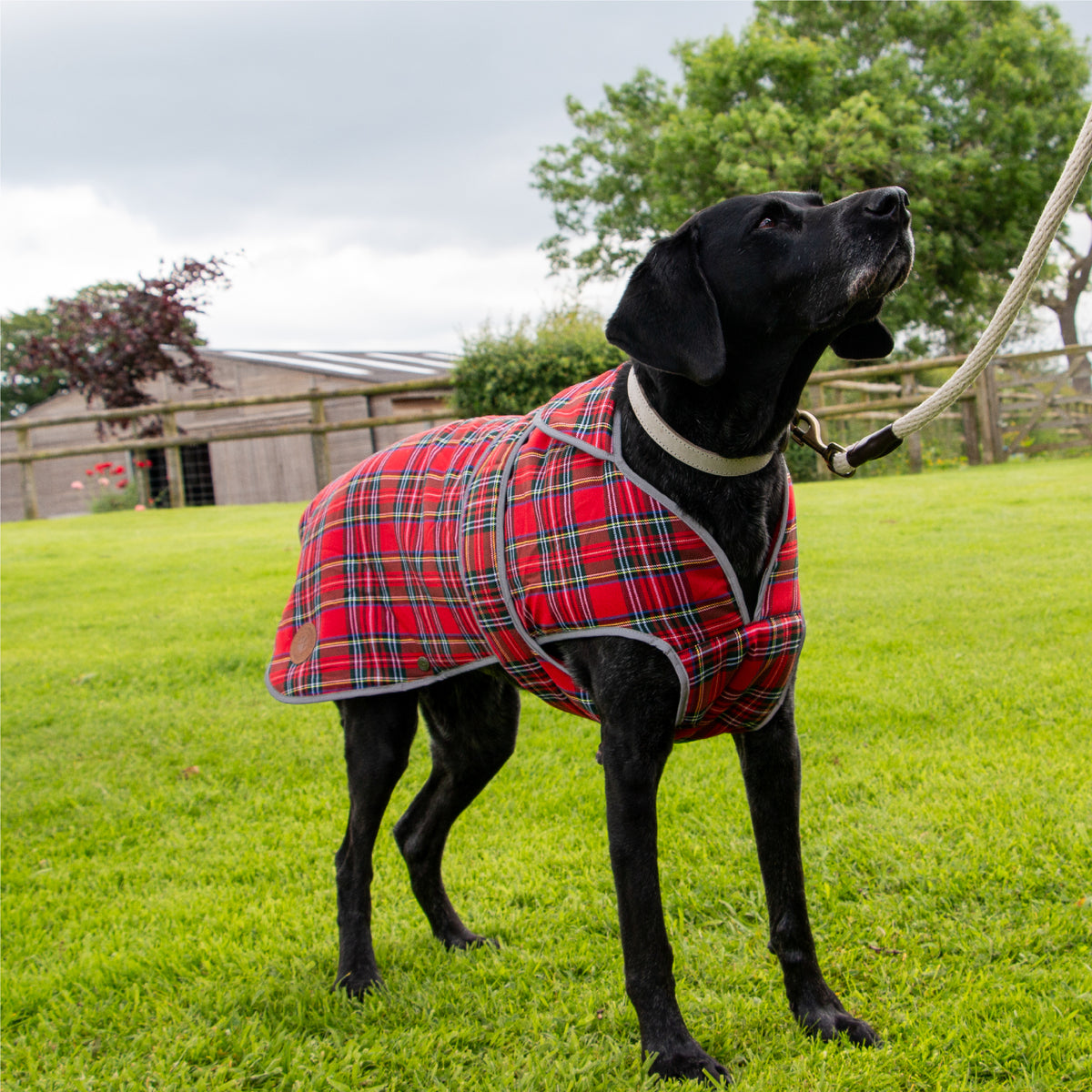 Ancol Heritage tartan dog coat fleece lining