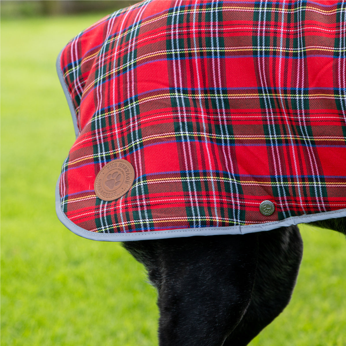 Ancol Heritage tartan dog coat detail