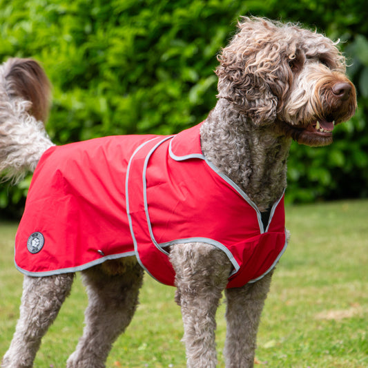 Stormguard Soft Shell Jacket