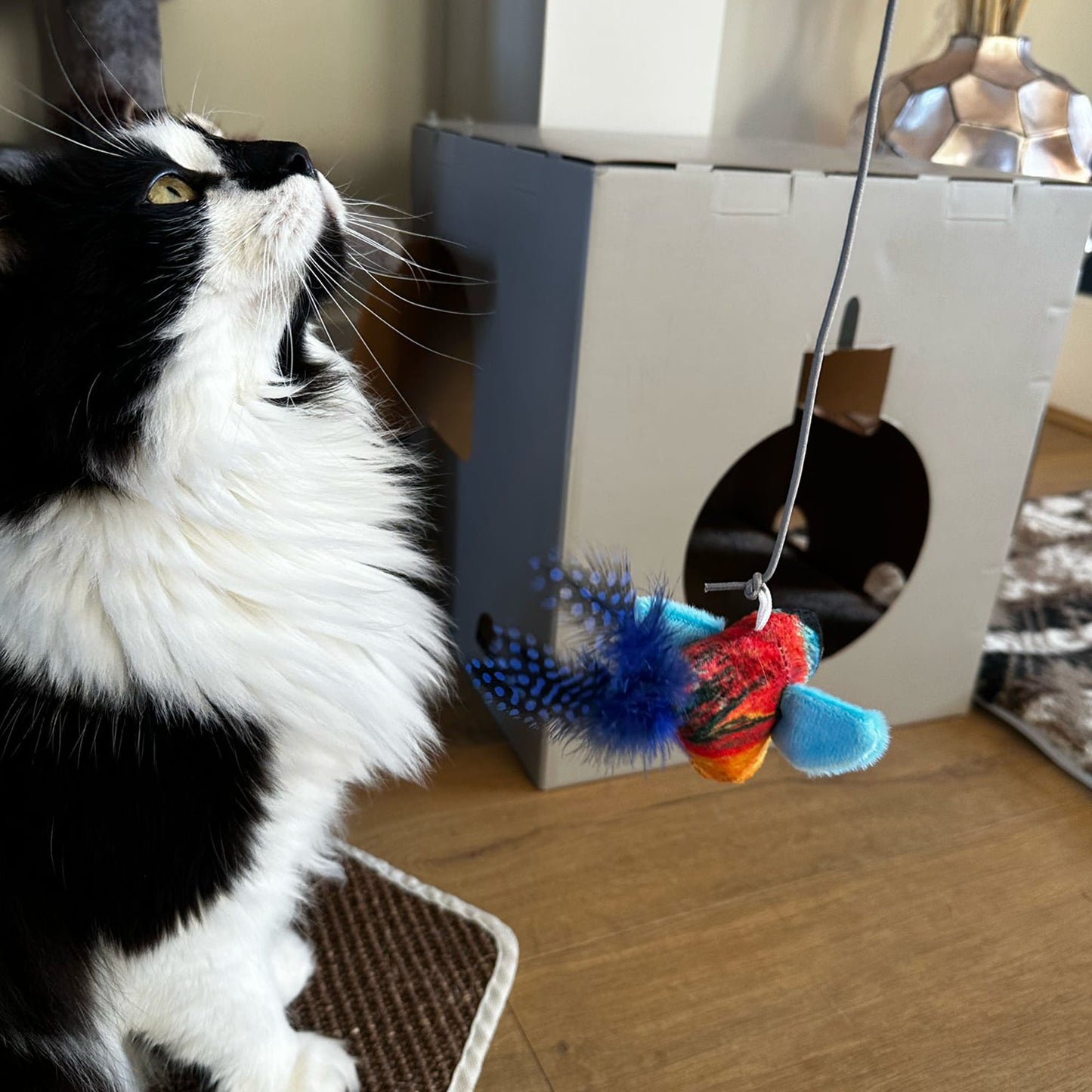 Ancol Heritage Chirping Bull Finch