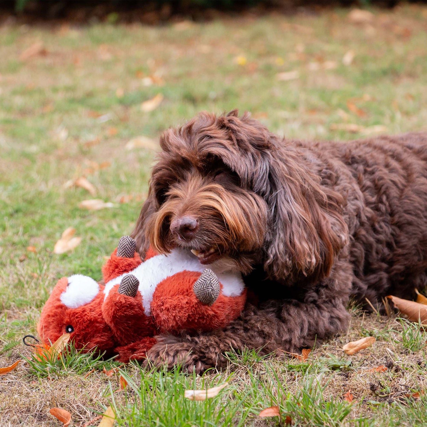 Ancol Heritage Collection Samantha Squirrel Dog Toy