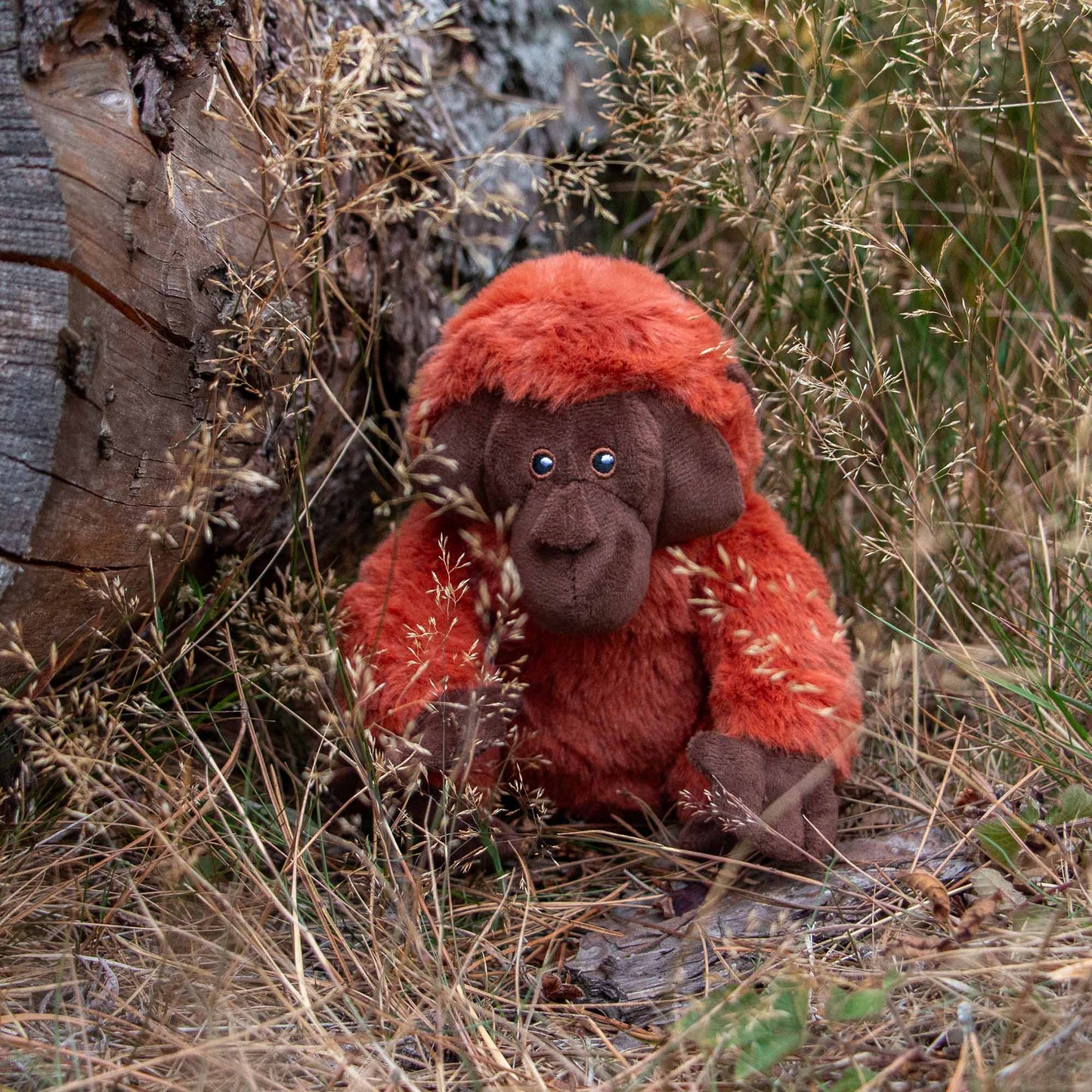 Ancol Ozzy Orangutang Mini Dog Toy Ancol
