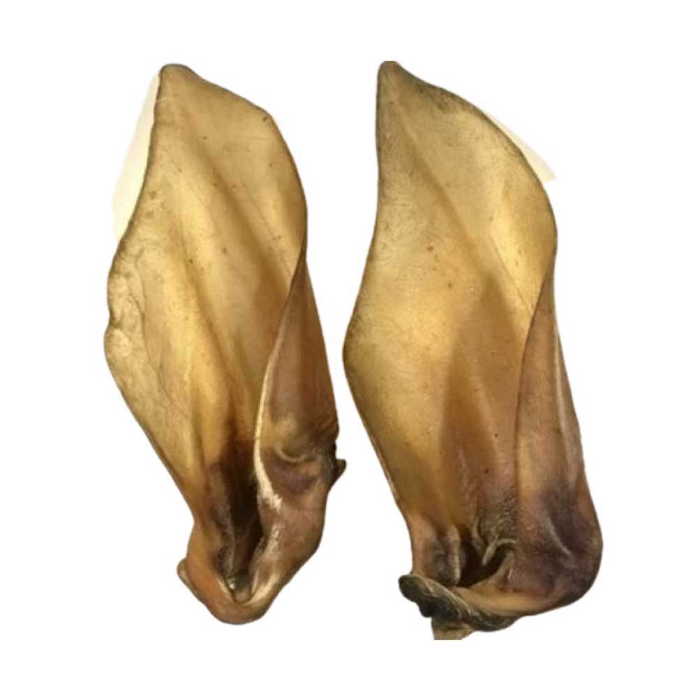 Buffalo Ears (Single)