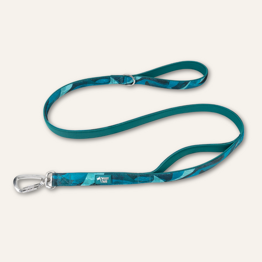 Adventure Close Control Lead 2.0 - Lagoon