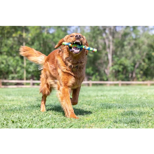 Chuckit! NFD Eco Fetch Day Ultra Stick