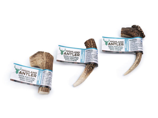 Nova Highland Antler Chew for Dogs – Natural Durable Chewing Treats in Various Sizes