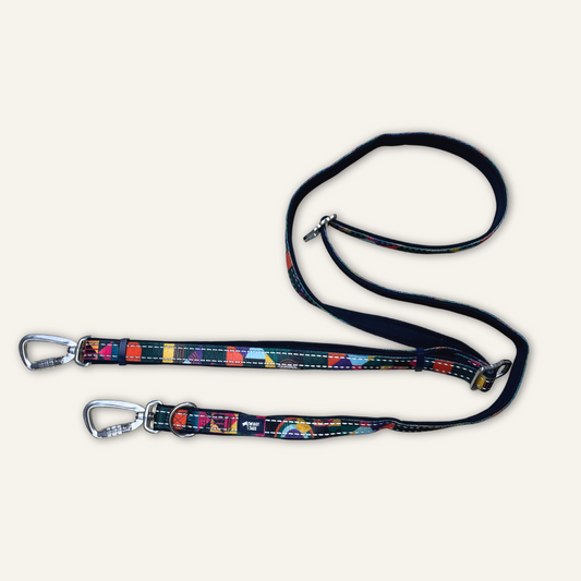 Twiggy Tags Multi-Way Lead - Aurora