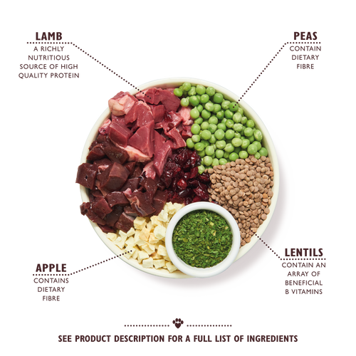Lily’s Kitchen Shepherds Pie Dry Dog Food 2.5kg