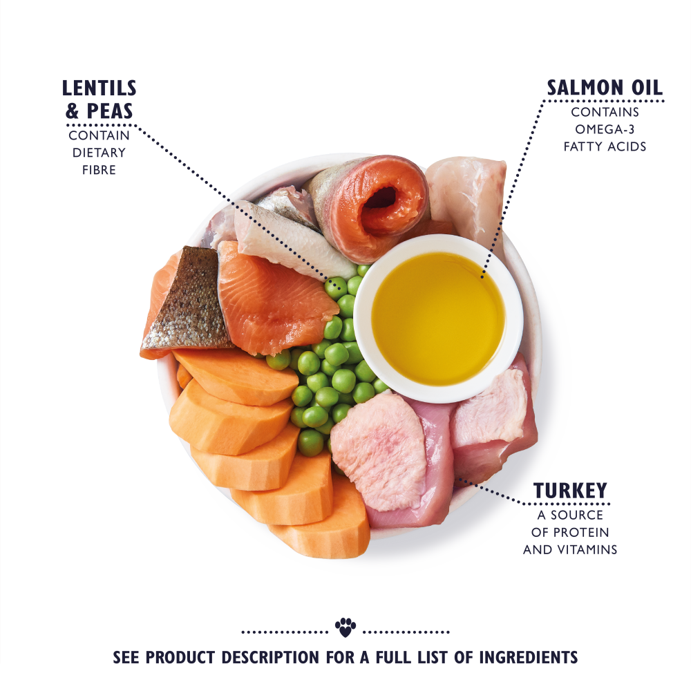 Lily’s Kitchen Senior Recipe - with Turkey, Trout and Seasonal White Fish Dog Food - 2.5kg