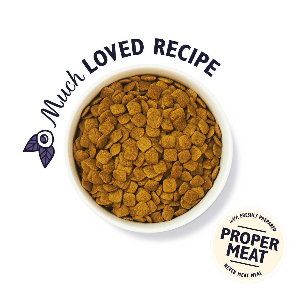 Lily’s Kitchen Senior Recipe - with Turkey, Trout and Seasonal White Fish Dog Food - 2.5kg