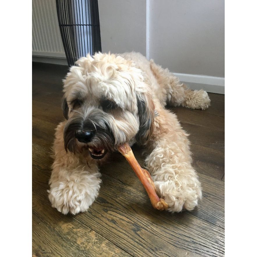 Beef Tendons Dog Treat - 250g