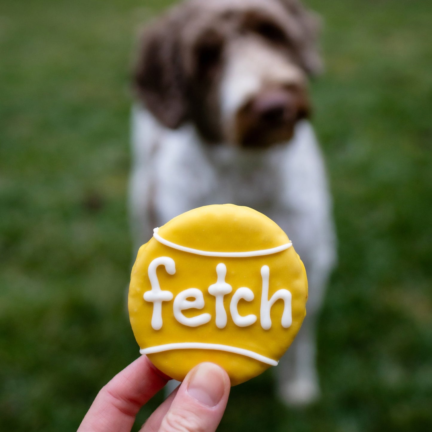 Bosco and Roxy’s Epic Fetch Ball Dog Treat