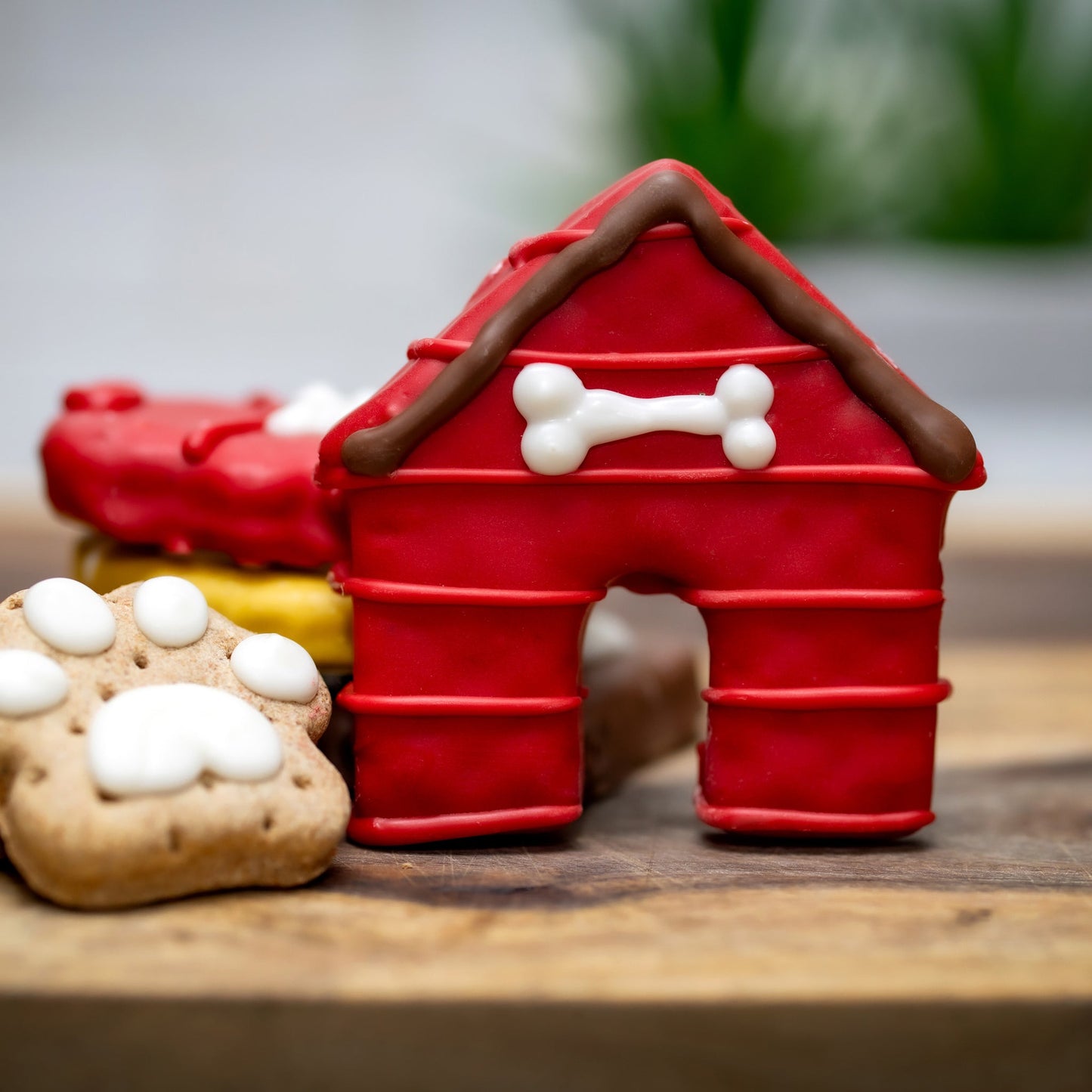 Bosco and Roxy’s Cozy Dog House Dog Treat