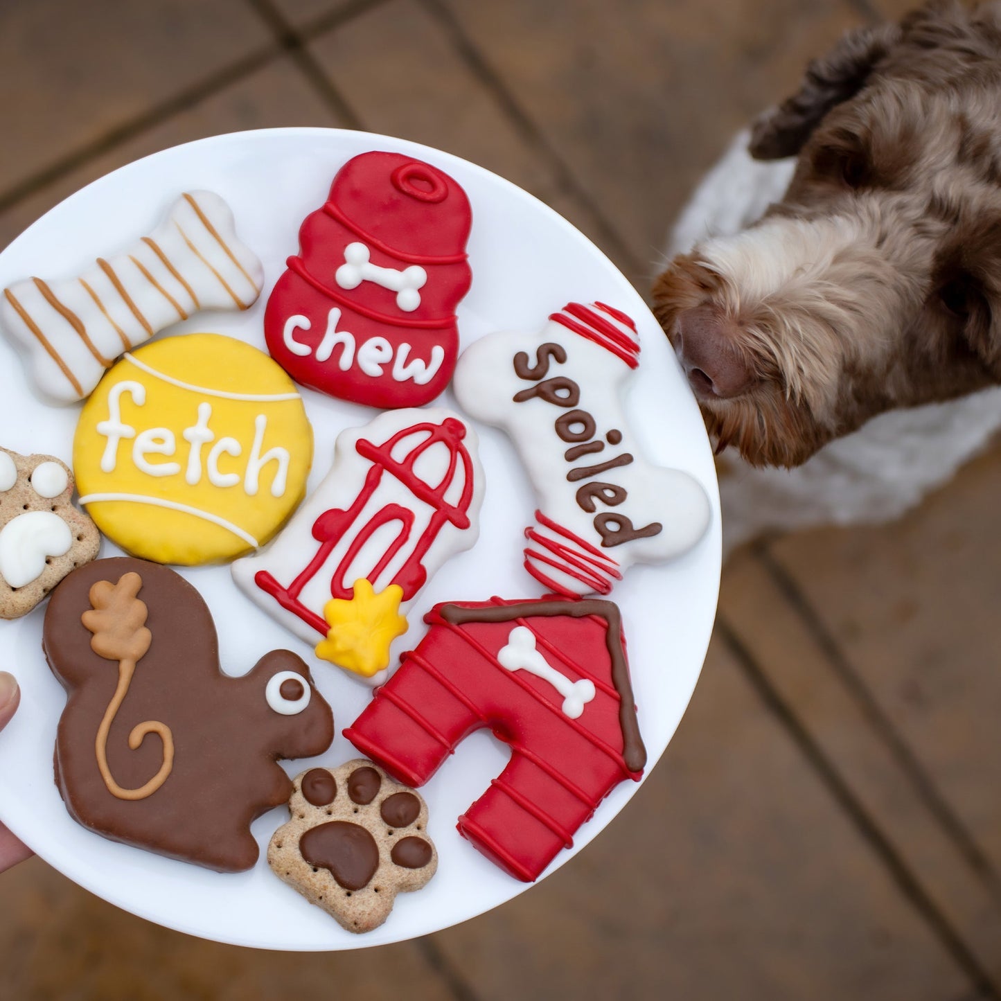 Bosco and Roxy’s Cozy Dog House Dog Treat