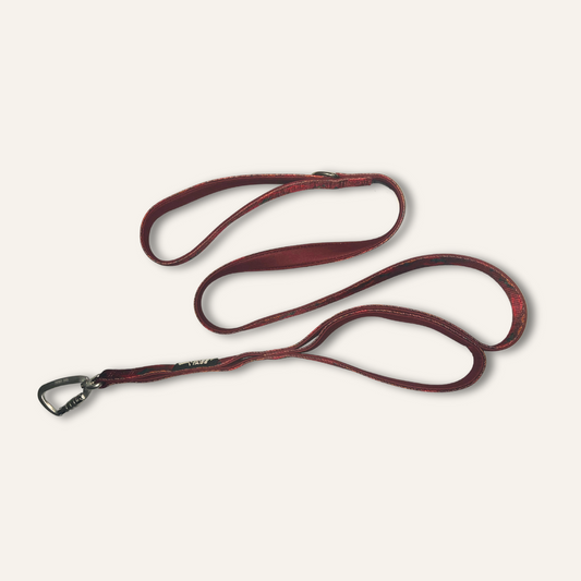 Twiggy Tags Close Control Lead - Alpenglow