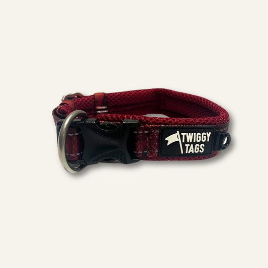 Twiggy Tags Collar Alpenglow Size 3