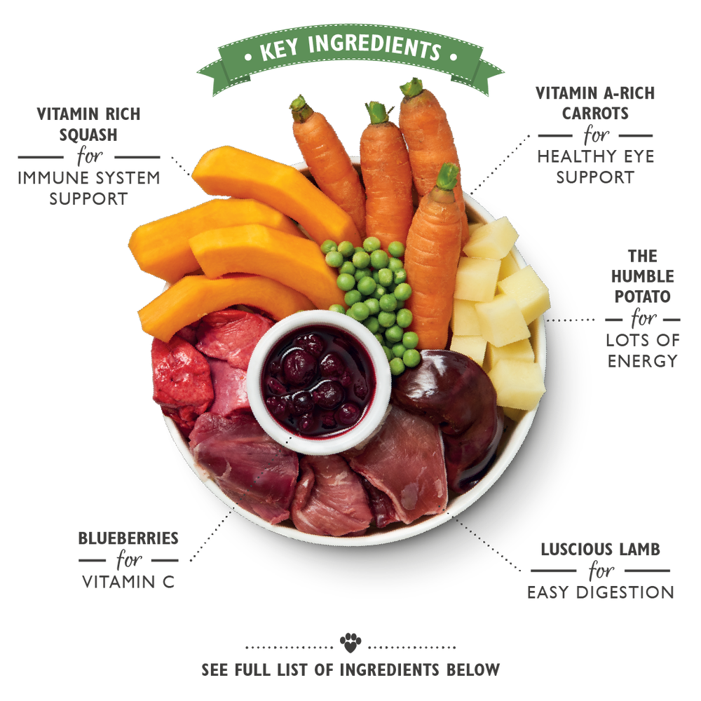 Lilys Kitchen Lamb Hotpot for Dogs Wet Tray - 150g