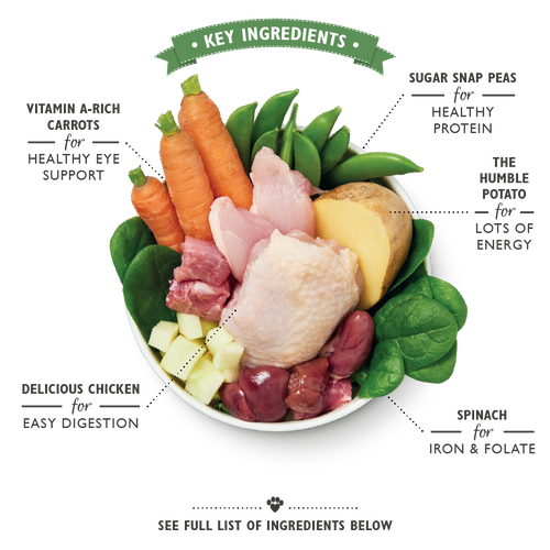 Lilys Kitchen Sunday Lunch for Dogs Can - 400g