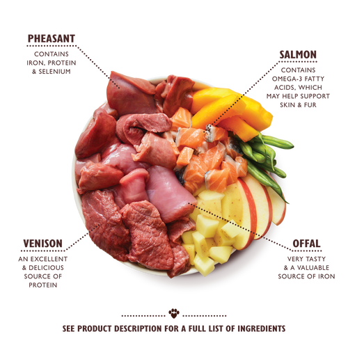 Lilys Kitchen Wild Campfire Stew for Dogs Can - 400g