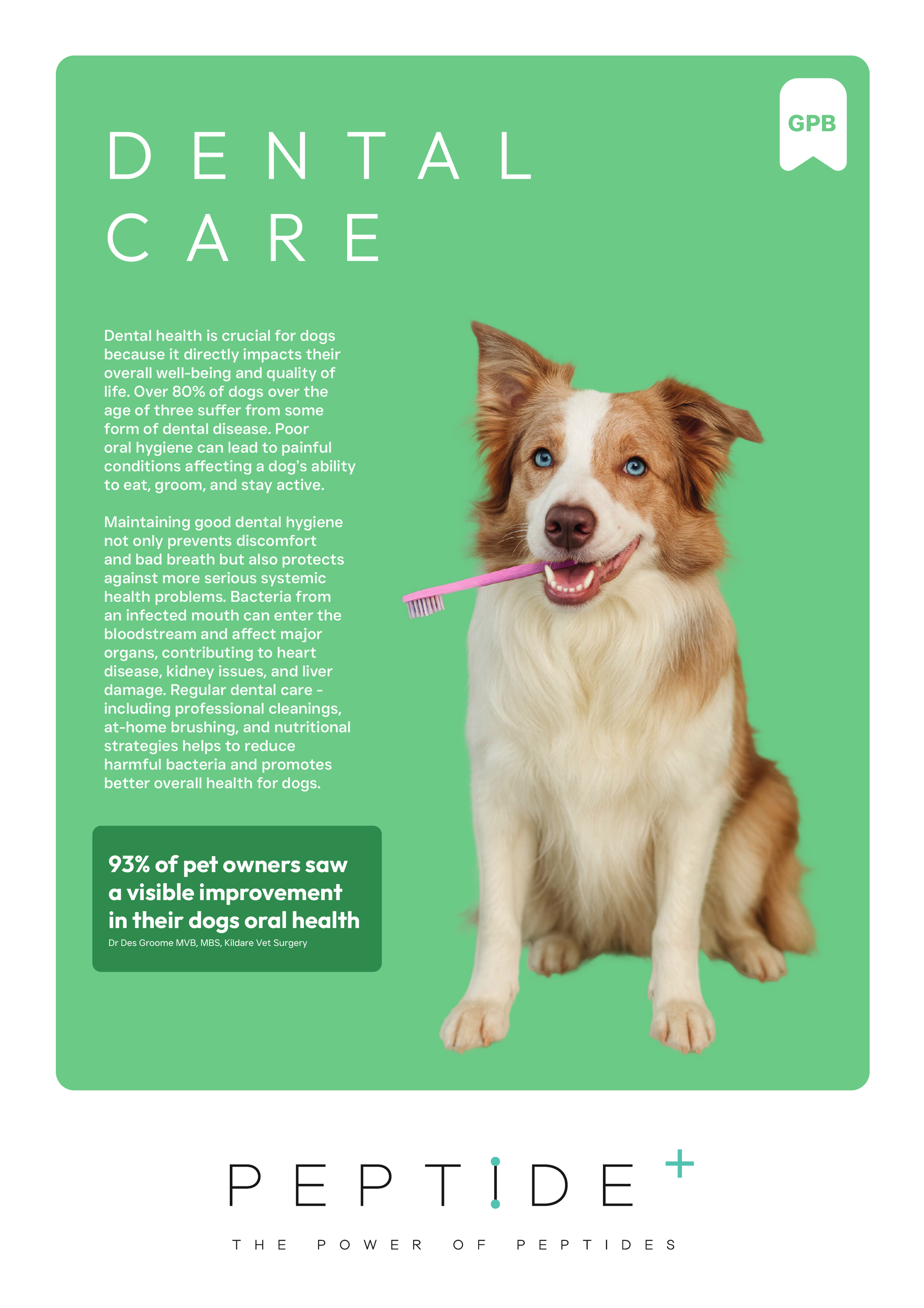 Origin Pets Grain Free Dental Care Adult Dog Food 1.5kg Origin Pets Longton