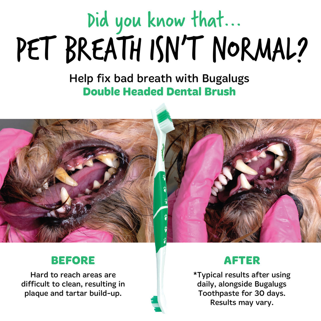 Bugalugs Double Ended Dental Care Toothbrushes for Dogs & Cats