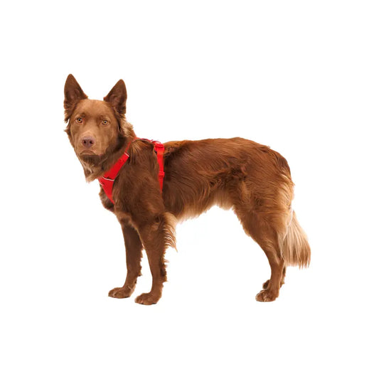 Ruffwear Front Range Harness XS Red Canyon Ruffwear