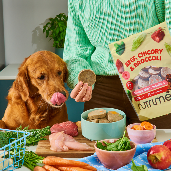 Nutriment Fresh Chicken Raw Dog Food Medallions - with Chicory & Courgette - 800g