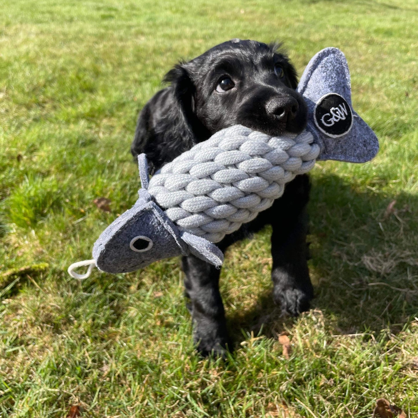Roger the Ropefish