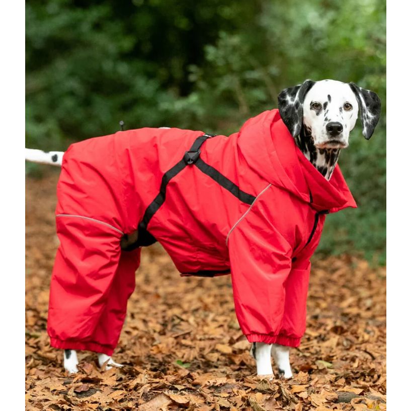 Hugo And Hudson London Red Snowsuit S35