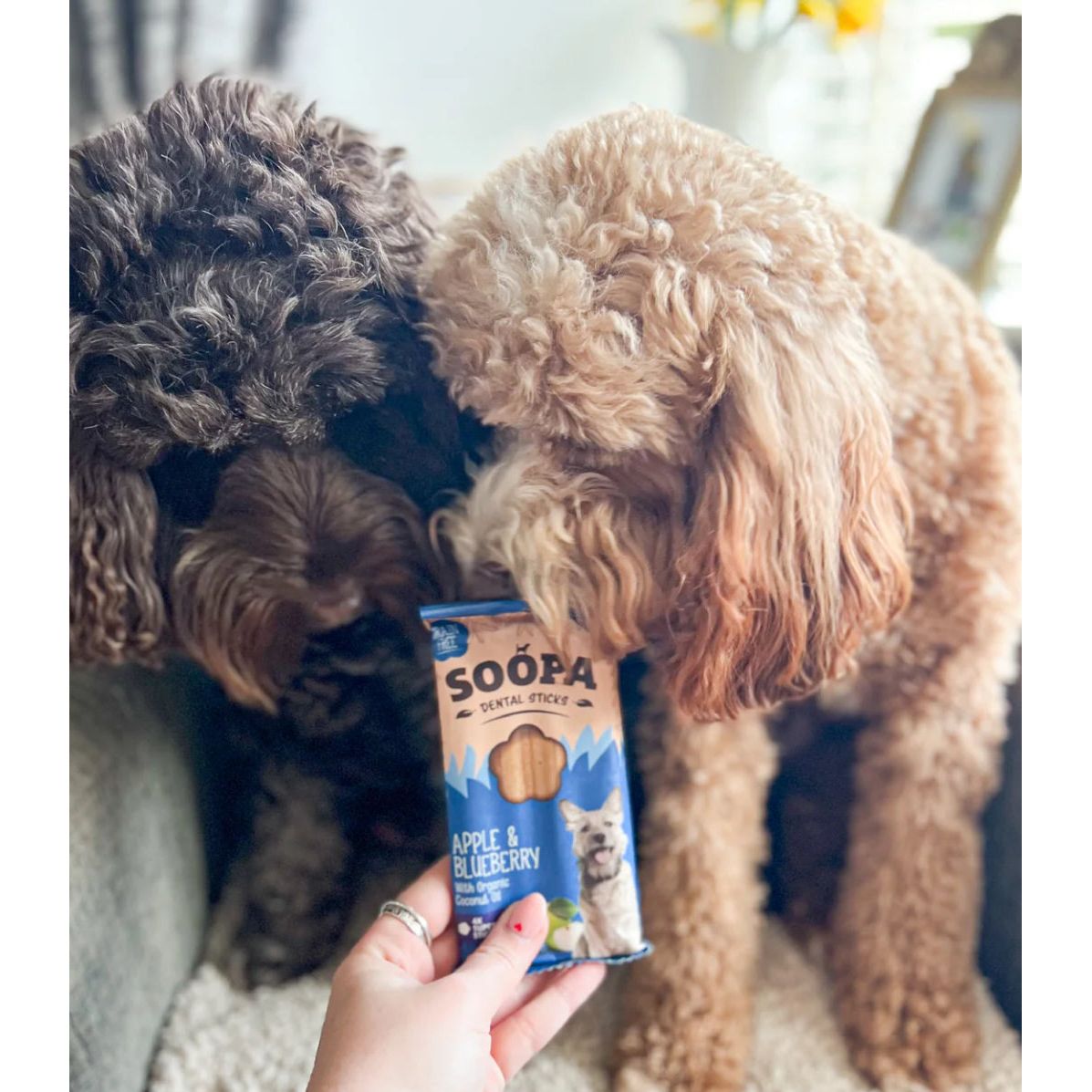 Soopa Apple & Blueberry Dental Sticks 100g Origin Pets Longton