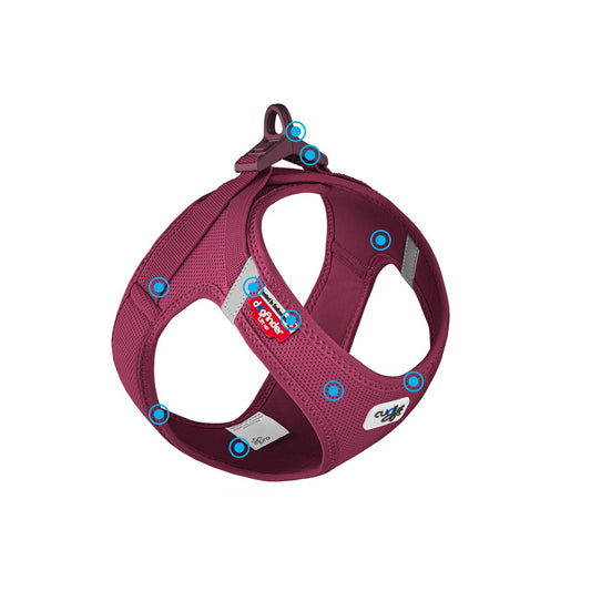 Curli Vest Dog Harness Clasp Air-Mesh Comfort Vest with Secure Buckle and Breathable Mesh