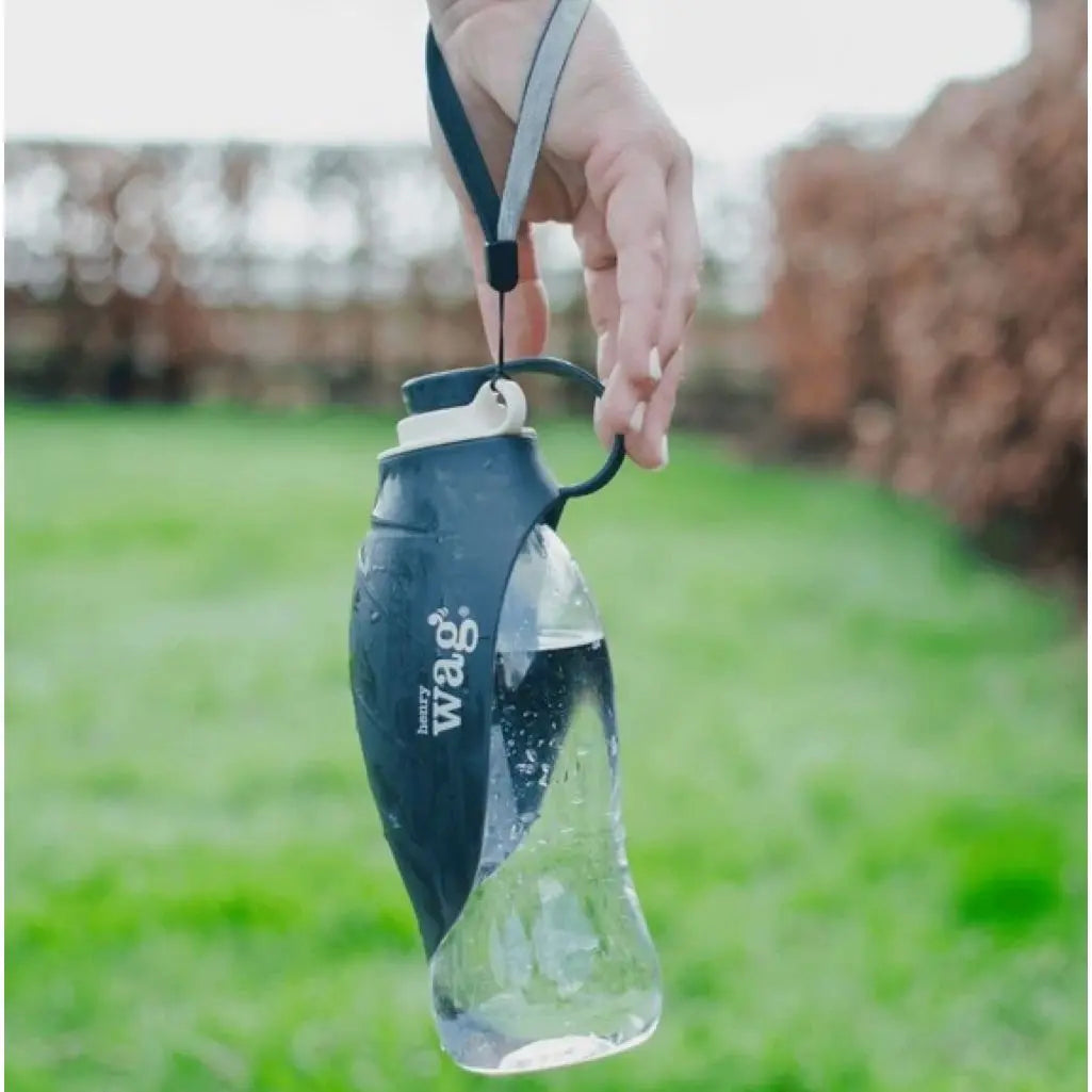 Henry Wag Water Bottle For Dogs With Grey Leaf Bowl Design Henry