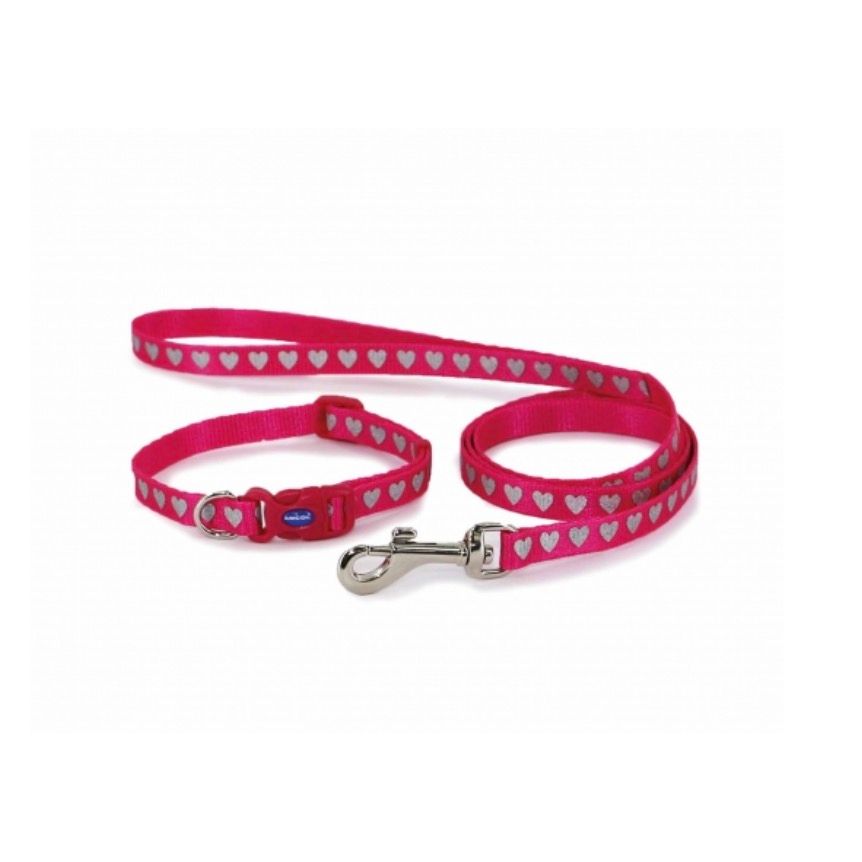 Ancol Small Bite Heart Collar Lead Set Raspberry Puppy Collar