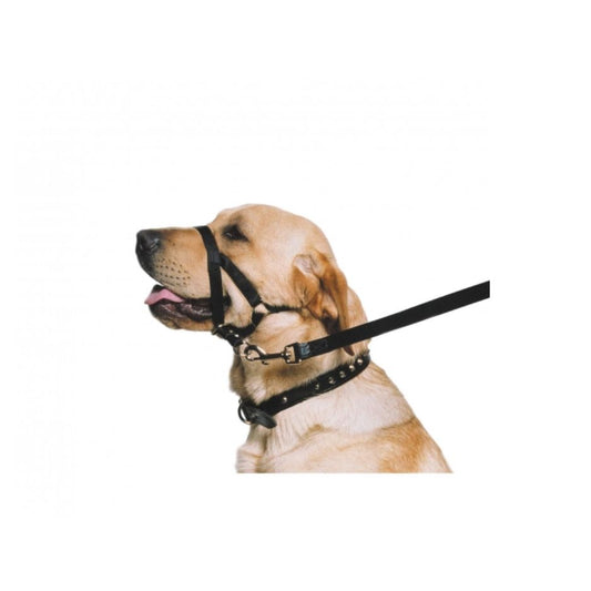 Ancol Nylon Training Halter Large Size 5-6