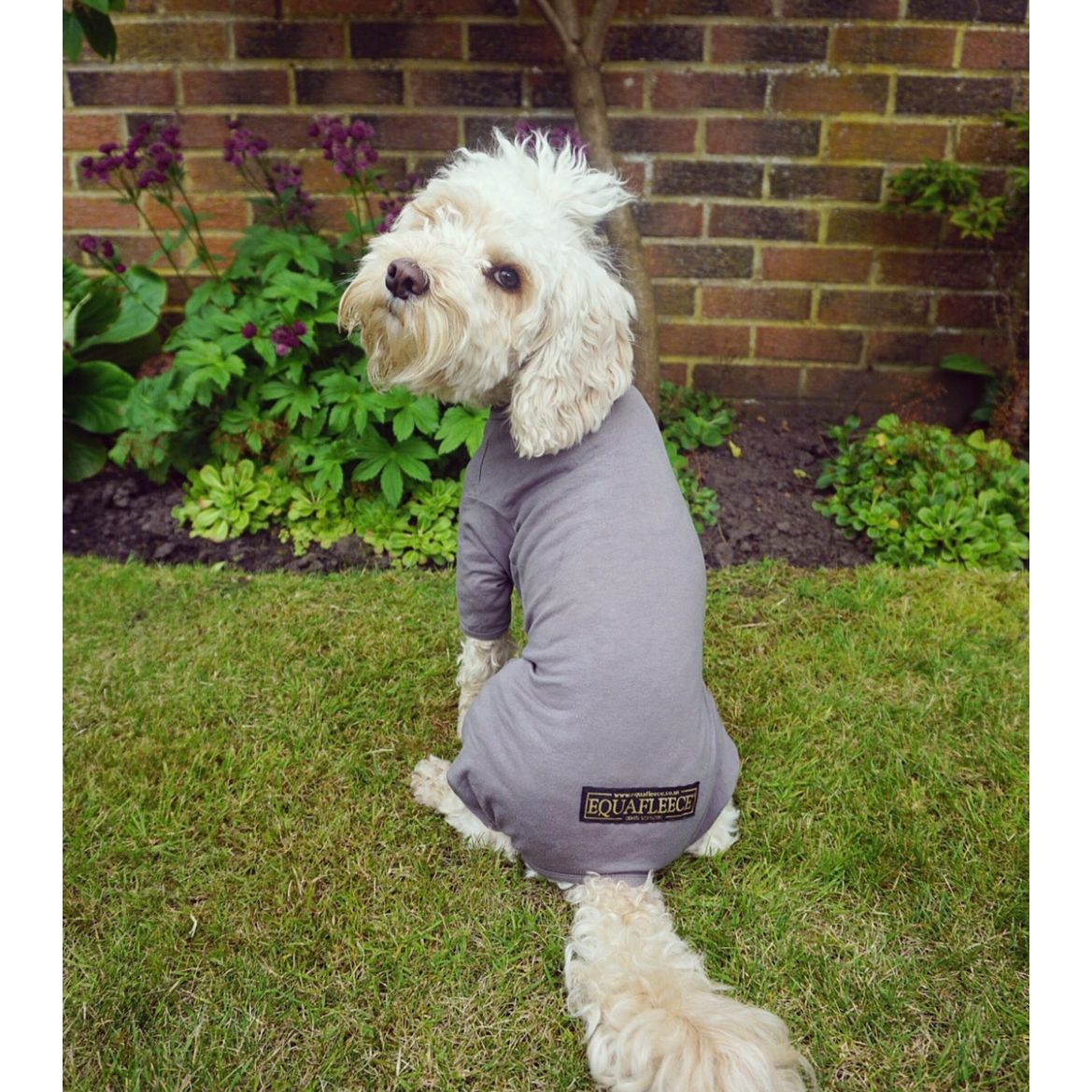 Equafleece Summer Suit Dog Coat Dark Green Size 22