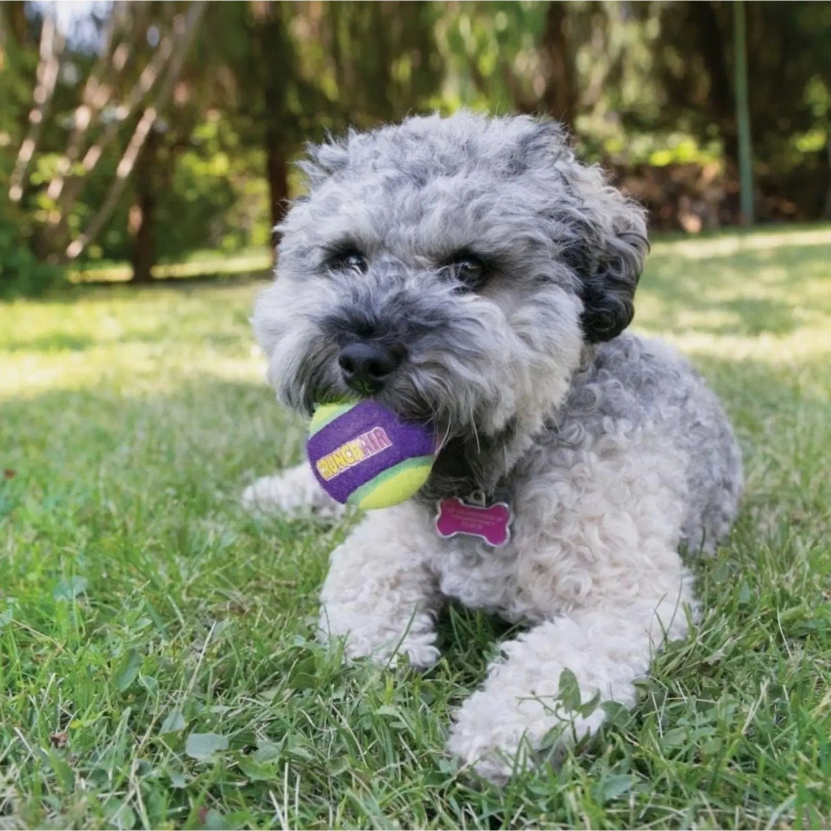 KONG Crunchair Dog Balls Medium KONG