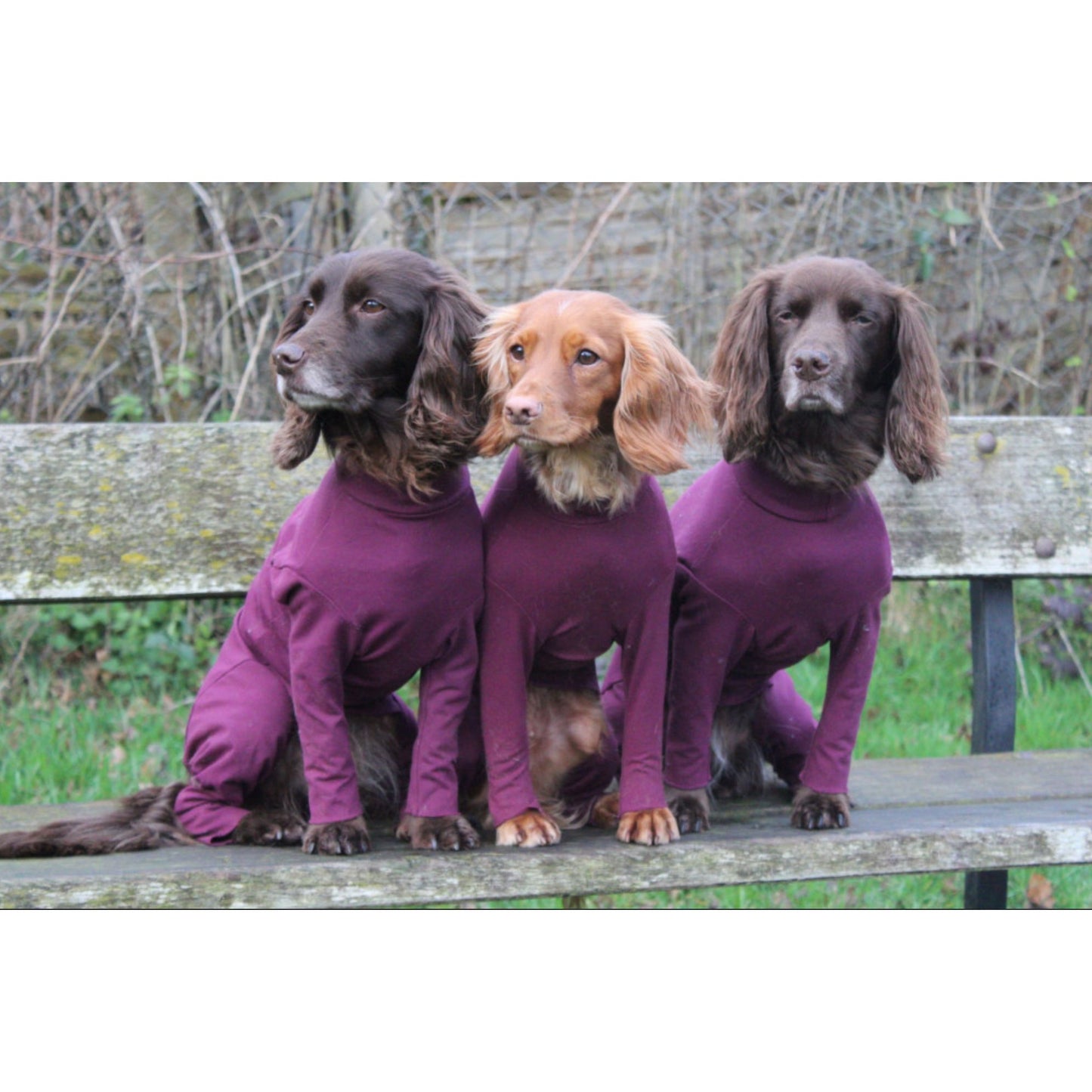 Equafleece Summer Suit Dog Coat Mulberry Size 22