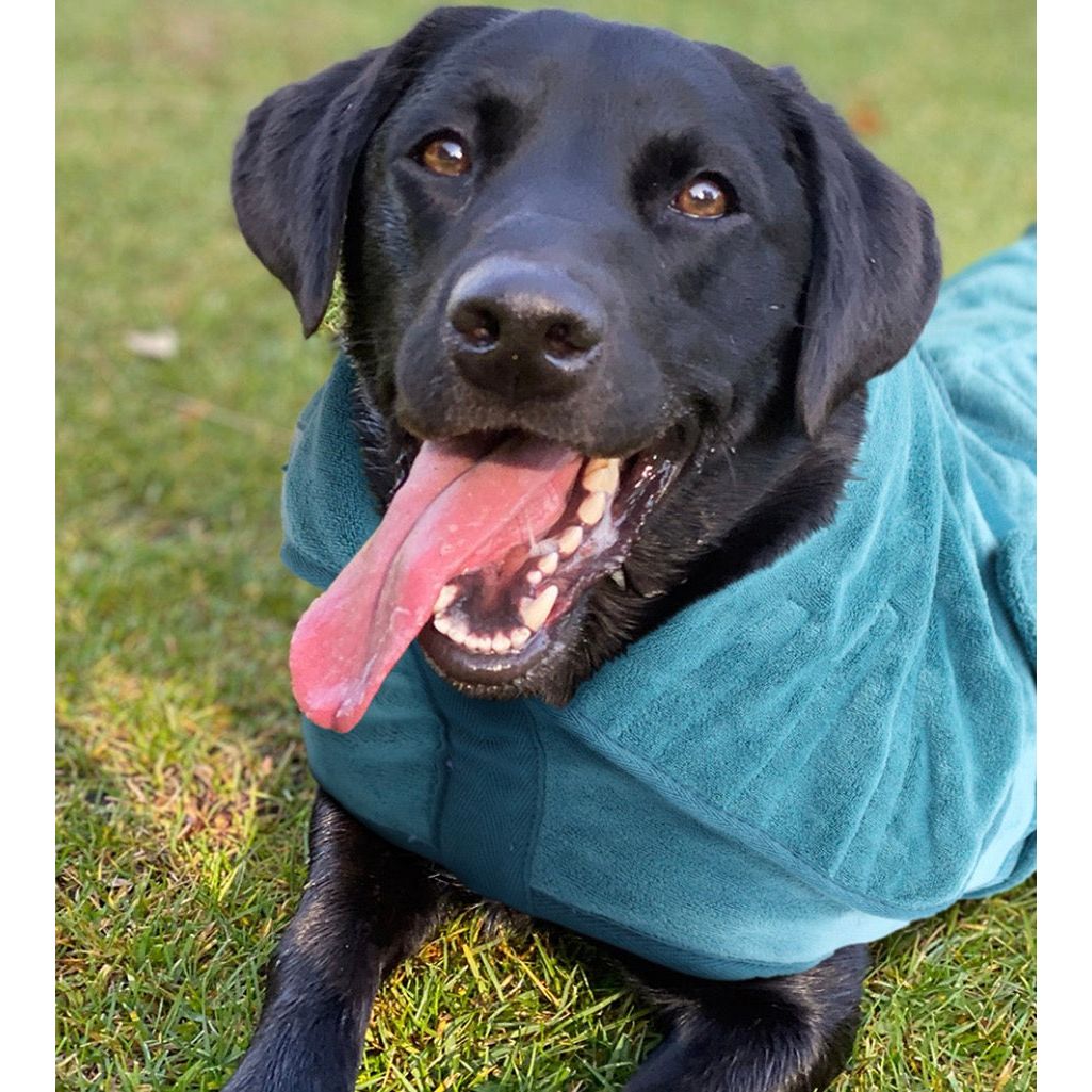 Mutt N Bailey Drying Coat Towels For Dogs Origin Pets Longton