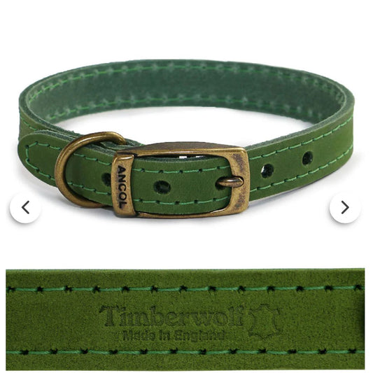 Timberwolf Leather Lead Green 60cmx19mm