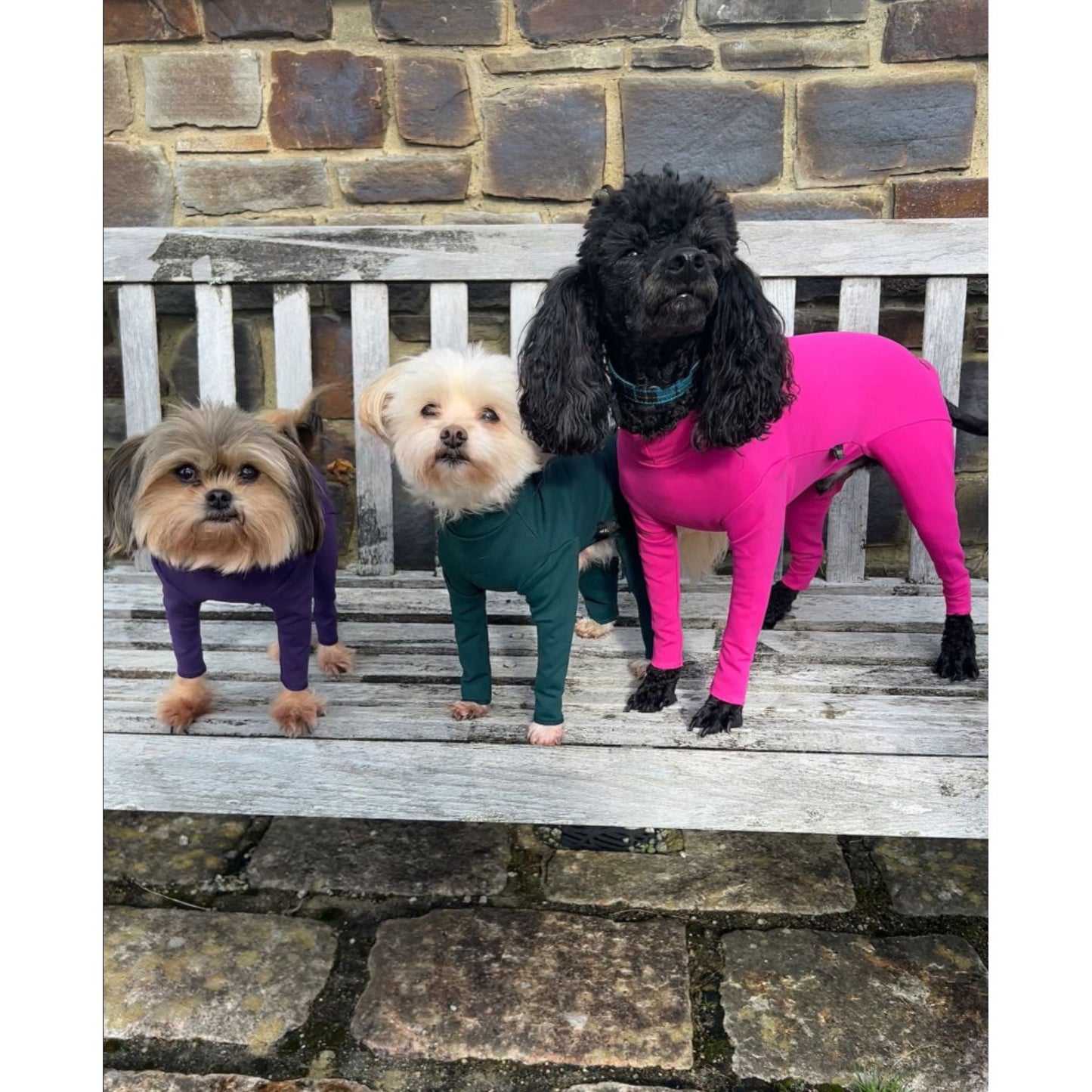 Equafleece Summer Suit Dog Coat Dark Green Size 22