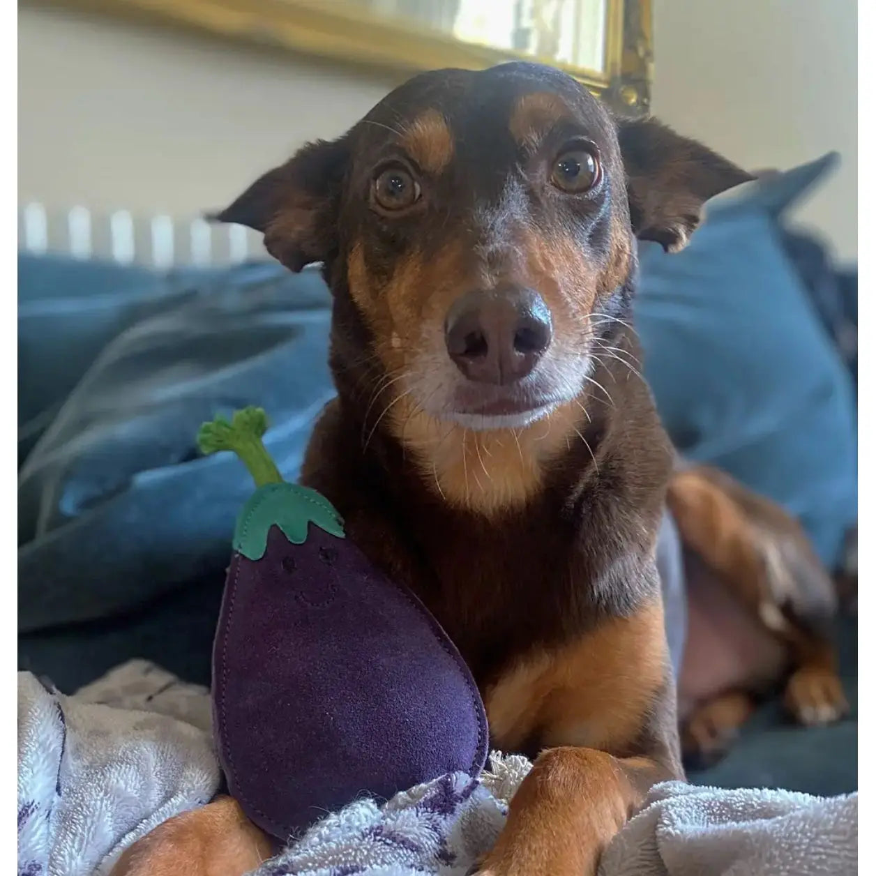 G&W Austin The Aubergine Dog Toy Origin Pets Longton