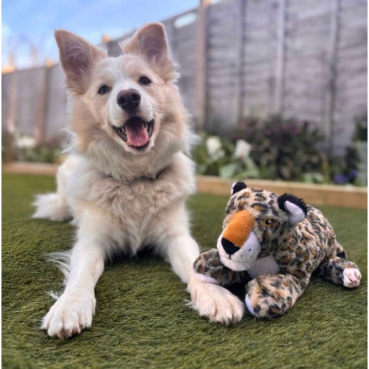 Ancol Heritage Lyra Leopard Dog Toy Origin Pets Longton