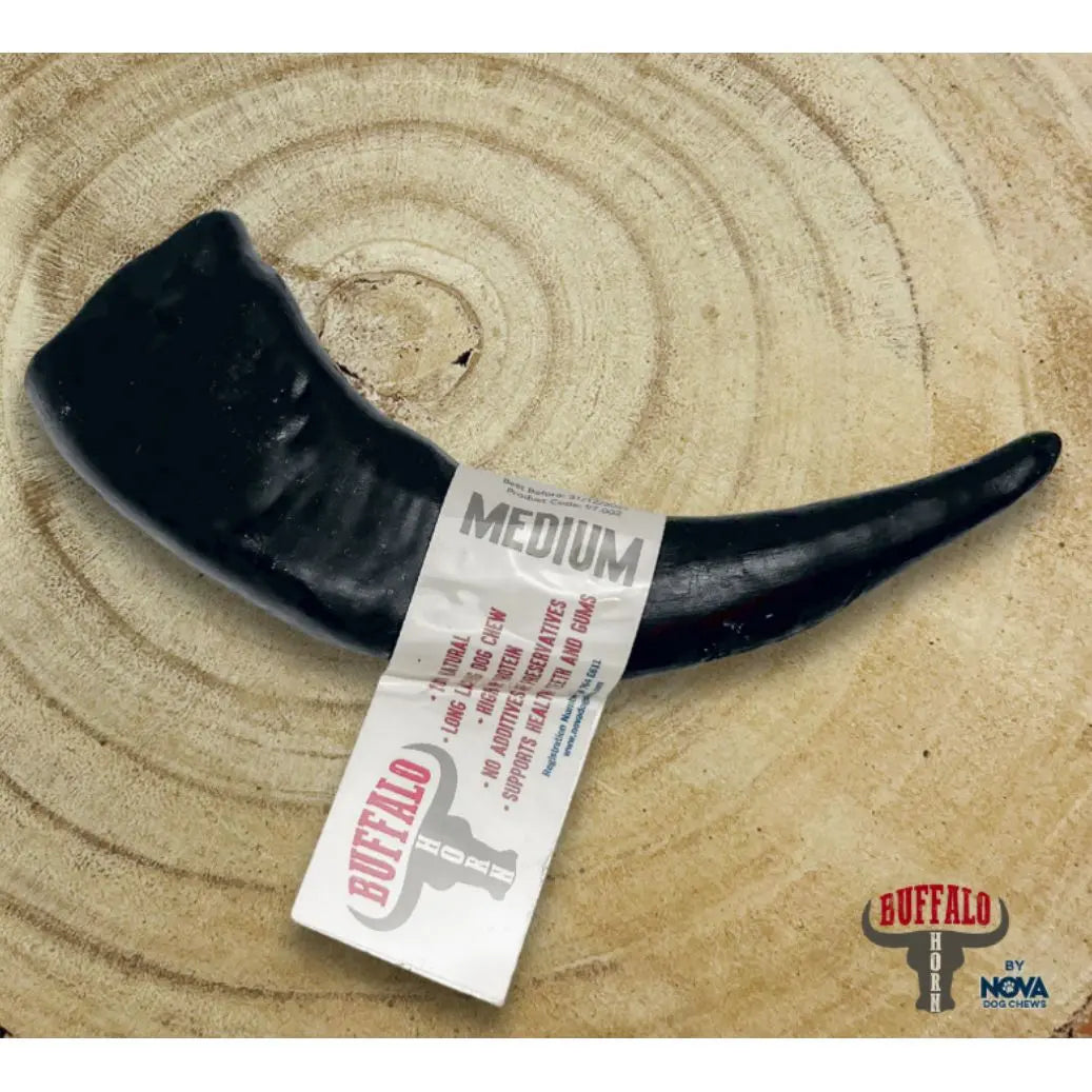 Nova Buffalo Horn Dog Chew Origin Pets Longton