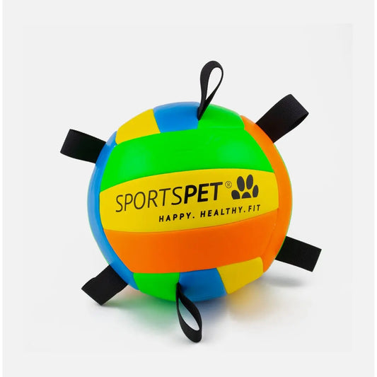 Sportspet Tab Volleyball Size 2 Origin Pets Longton